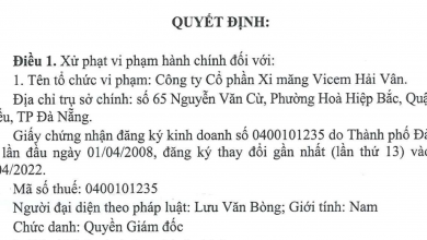 Công ty cổ phần Vicem Hải Vân bị truy thu hàng tỷ đồng sau kiểm toán