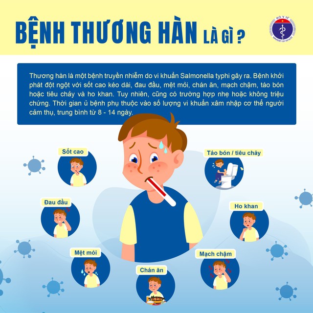 benh-thuong-han-4-1753177656137214381847 Bộ Y tế khuyến cáo phòng chống loại vi khuẩn thường gặp trong mùa mưa lũ - Ảnh 1.