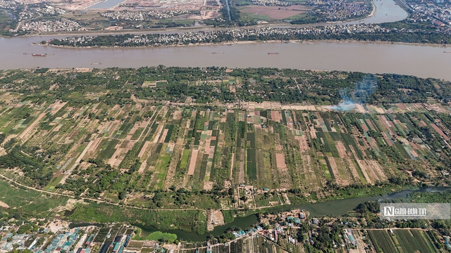 Hà Nội cho phép khai thác đất nông nghiệp bãi sông, bãi nổi- Ảnh 1. Hà Nội cho phép khai thác đất nông nghiệp bãi sông, bãi nổi- Ảnh 1.