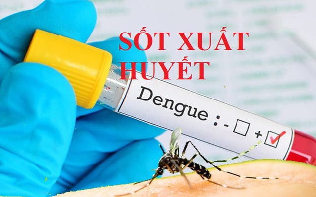 sot-xuat-huyet-2-17532445330901814811594 Sốt xuất huyết có xu hướng tăng, Bộ Y tế yêu cầu phòng chống lây nhiễm chéo trong bệnh viện - Ảnh 1.